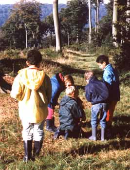 enfants en forêt